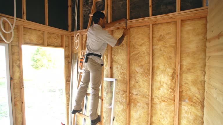 Best Insulation for Metal Buildings  in Brandon, MS